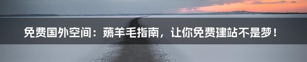 免费国外空间:薅羊毛指南,让你免费建站不是梦!