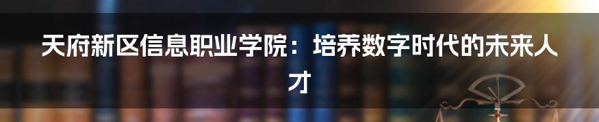 天府新区信息职业学院:培养数字时代的未来人才