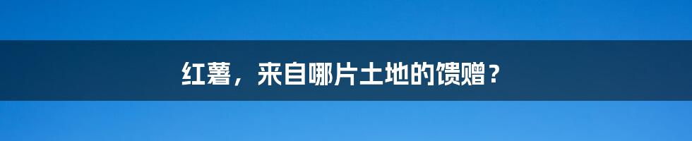 红薯,来自哪片土地的馈赠?