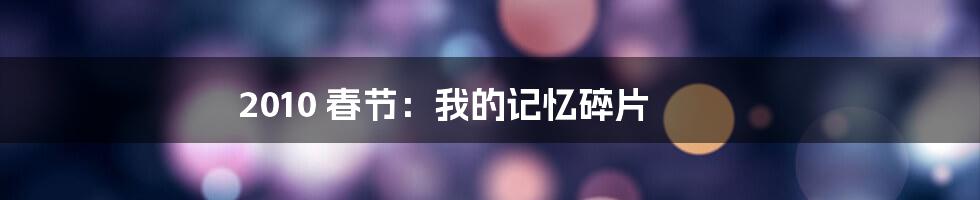 2010 春节:我的记忆碎片