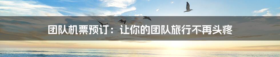 团队机票预订:让你的团队旅行不再头疼