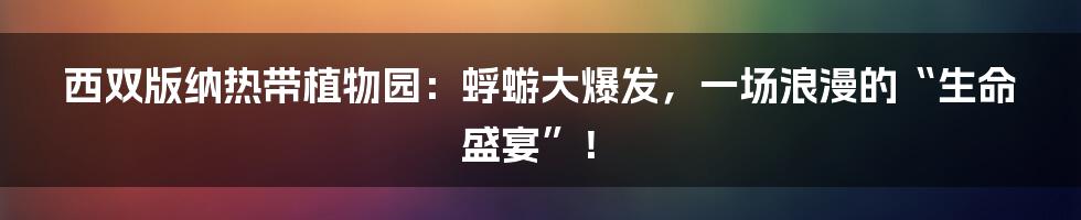 西双版纳热带植物园:蜉蝣大爆发,一场浪漫的“生命盛宴”!