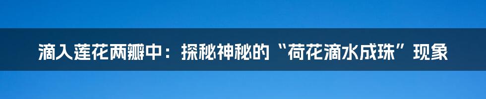 滴入莲花两瓣中：探秘神秘的“荷花滴水成珠”现象