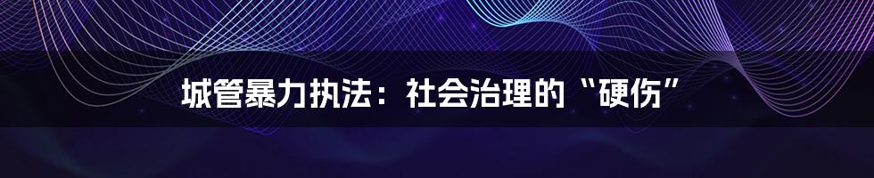 城管暴力执法:社会治理的“硬伤”