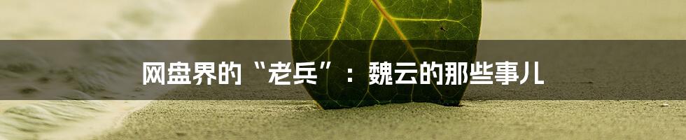 网盘界的“老兵”:魏云的那些事儿