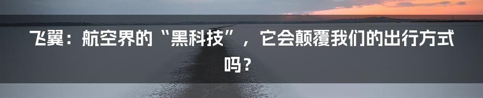 飞翼:航空界的“黑科技”,它会颠覆我们的出行方式吗?