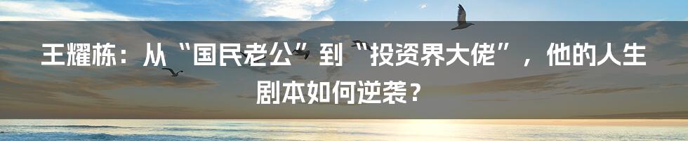 王耀栋:从“国民老公”到“投资界大佬”,他的人生剧本如何逆袭?
