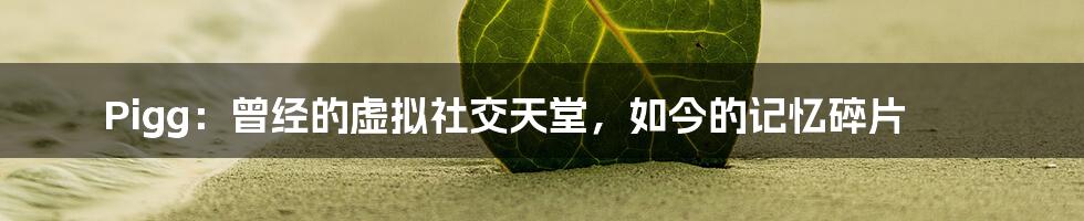 Pigg:曾经的虚拟社交天堂,如今的记忆碎片