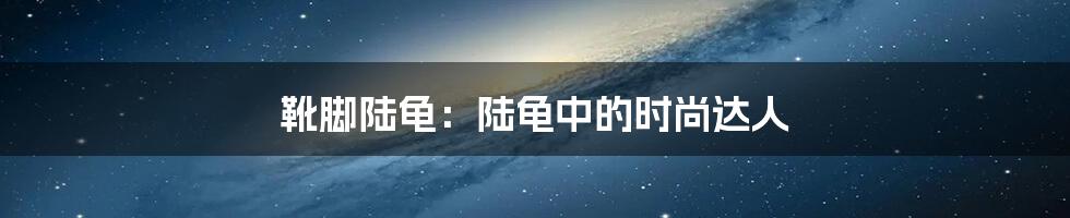 靴脚陆龟:陆龟中的时尚达人