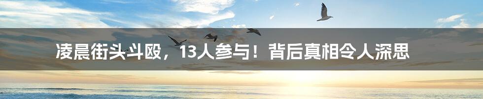 凌晨街头斗殴,13人参与!背后真相令人深思