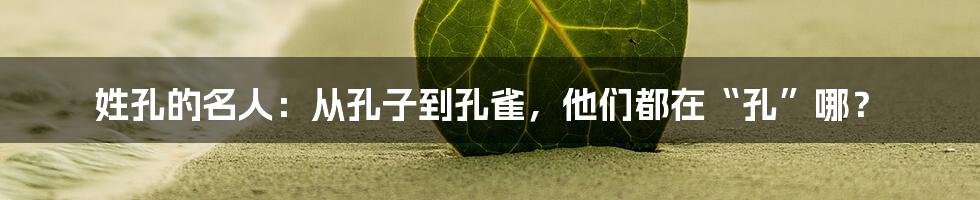 姓孔的名人:从孔子到孔雀,他们都在“孔”哪?
