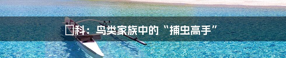 鹟科:鸟类家族中的“捕虫高手”