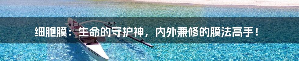 细胞膜:生命的守护神,内外兼修的膜法高手!