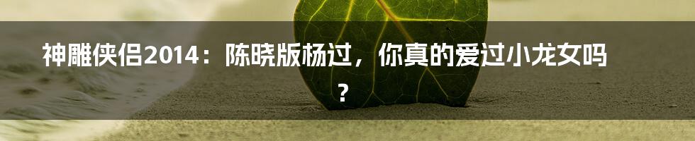 神雕侠侣2014:陈晓版杨过,你真的爱过小龙女吗?