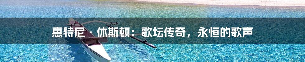 惠特尼·休斯顿:歌坛传奇,永恒的歌声