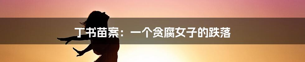 丁书苗案：一个贪腐女子的跌落
