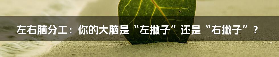 左右脑分工:你的大脑是“左撇子”还是“右撇子”?