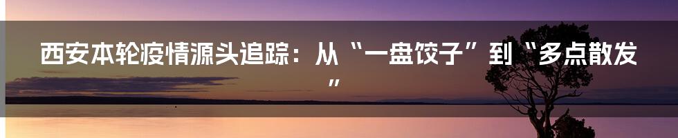西安本轮疫情源头追踪:从“一盘饺子”到“多点散发”