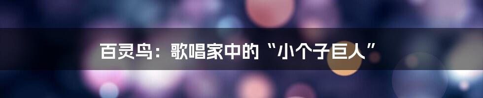 百灵鸟:歌唱家中的“小个子巨人”