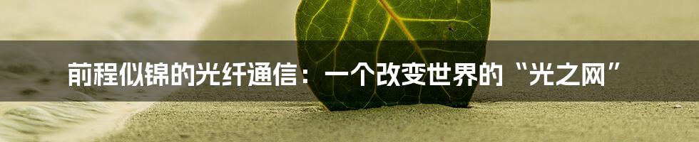 前程似锦的光纤通信:一个改变世界的“光之网”