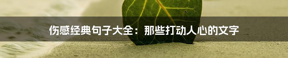 伤感经典句子大全:那些打动人心的文字