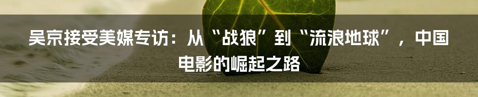 吴京接受美媒专访:从“战狼”到“流浪地球”,中国电影的崛起之路