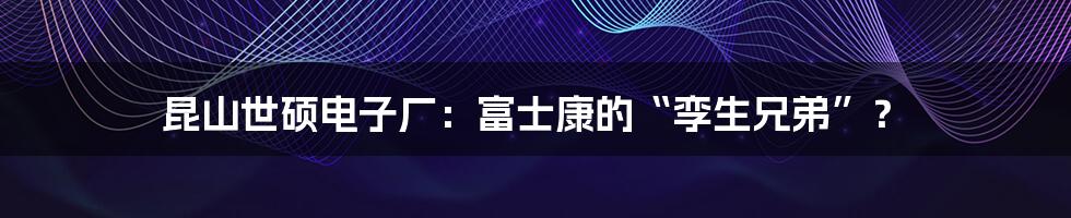 昆山世硕电子厂:富士康的“孪生兄弟”?