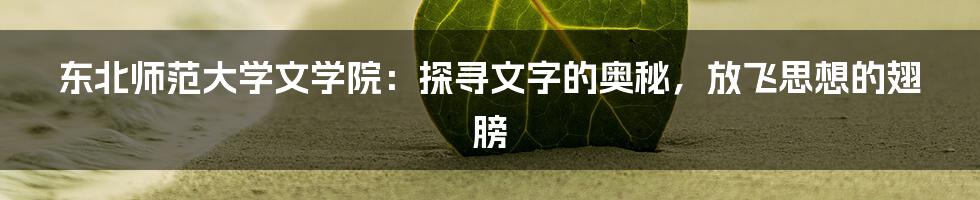东北师范大学文学院:探寻文字的奥秘,放飞思想的翅膀