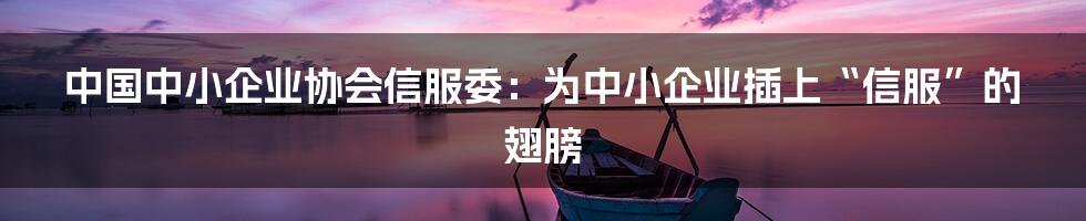 中国中小企业协会信服委:为中小企业插上“信服”的翅膀
