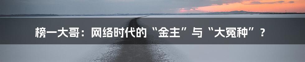 榜一大哥:网络时代的“金主”与“大冤种”?