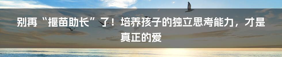 别再“揠苗助长”了!培养孩子的独立思考能力,才是真正的爱