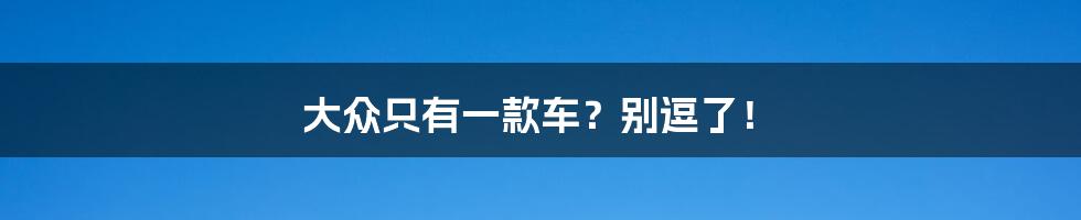 大众只有一款车?别逗了!
