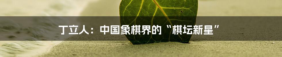 丁立人:中国象棋界的“棋坛新星”