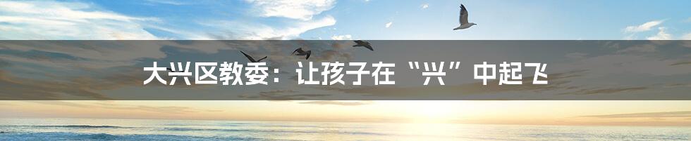 大兴区教委：让孩子在“兴”中起飞