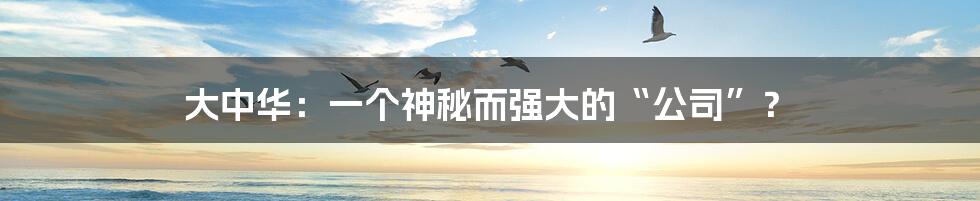 大中华:一个神秘而强大的“公司”?