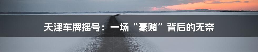 天津车牌摇号:一场“豪赌”背后的无奈