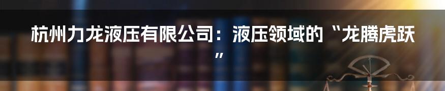 杭州力龙液压有限公司:液压领域的“龙腾虎跃”