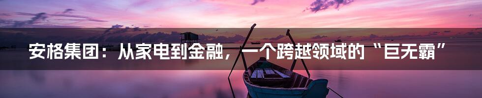安格集团:从家电到金融,一个跨越领域的“巨无霸”