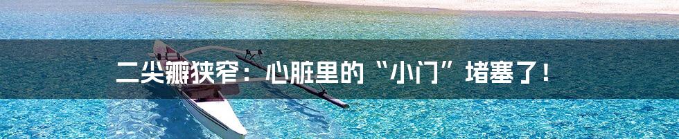 二尖瓣狭窄:心脏里的“小门”堵塞了!