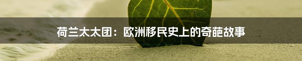 荷兰太太团:欧洲移民史上的奇葩故事
