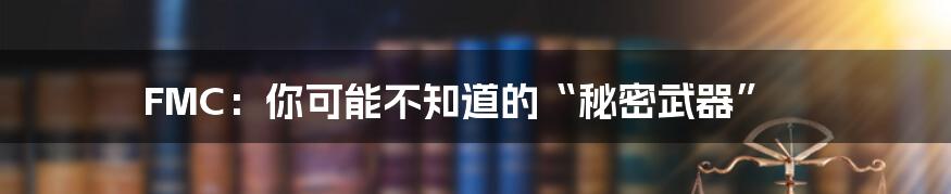 FMC：你可能不知道的“秘密武器”