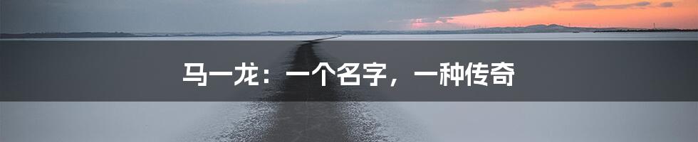 马一龙:一个名字,一种传奇