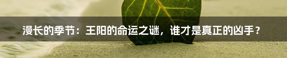 漫长的季节:王阳的命运之谜,谁才是真正的凶手?