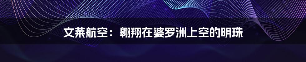 文莱航空：翱翔在婆罗洲上空的明珠