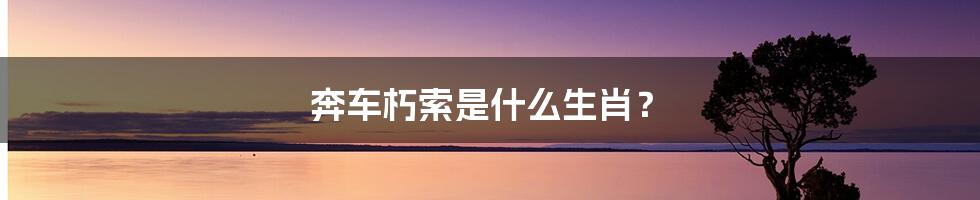 奔车朽索是什么生肖?
