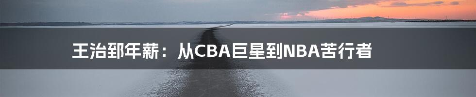王治郅年薪:从CBA巨星到NBA苦行者