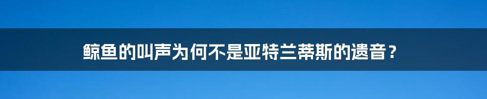 鲸鱼的叫声为何不是亚特兰蒂斯的遗音？