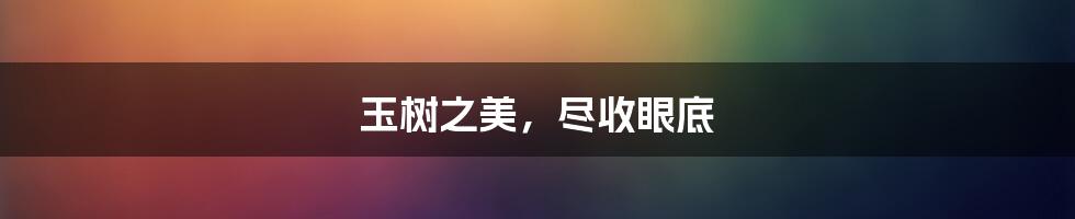 玉树之美，尽收眼底