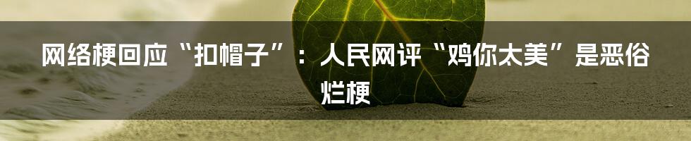 网络梗回应“扣帽子”：人民网评“鸡你太美”是恶俗烂梗