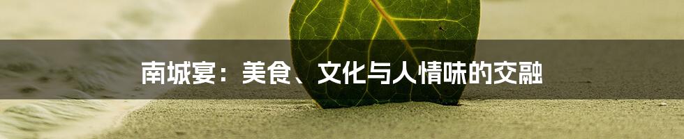 南城宴:美食、文化与人情味的交融